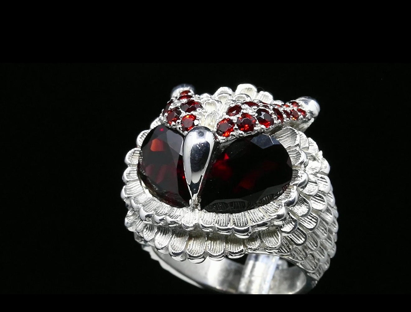 The Glaucopis - Ring of Wisdom and Vision
